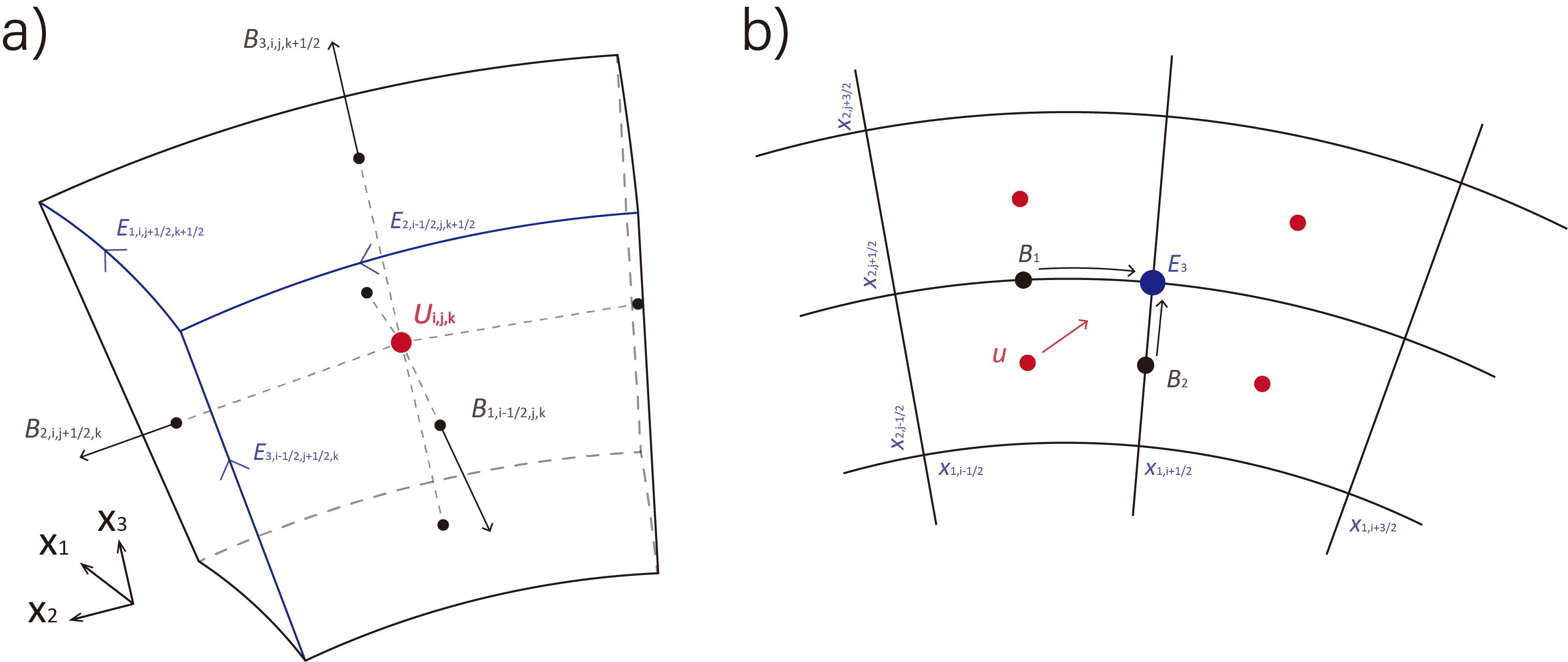 GAMERA-OP curvilinear grid and field-variable arrangement